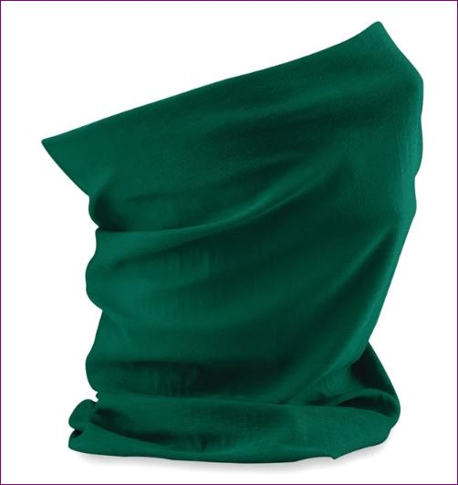 IVYSNOOD